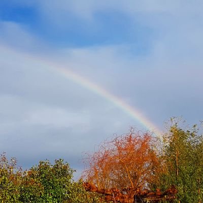 GeaLingeman's profile picture. 