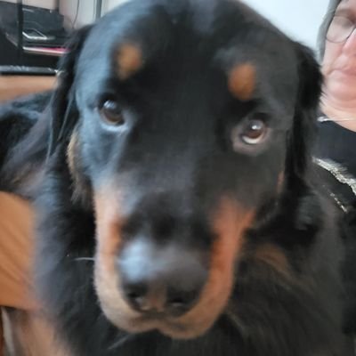 rowen25rowen's profile picture. 