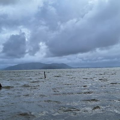 paulocambr's profile picture. 