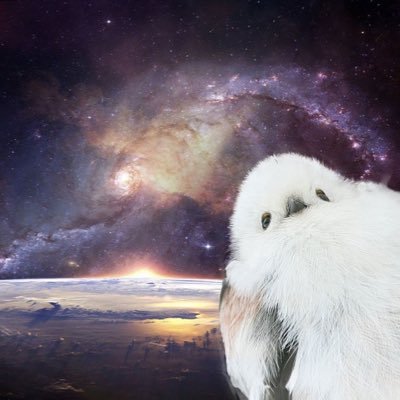 ev1b2n's profile picture. ヲタク四十路♀アニメ漫画イラストLIFE●三白眼LOVE👀たまに鍵つける🔑無言Fすみません🙇‍♀️男女CP /未満/ﾊﾟｰﾄﾅｰ/夢/相棒/ﾊﾞﾃﾞｨ大好物♥️hrak /knkm /WW /CSM etc…