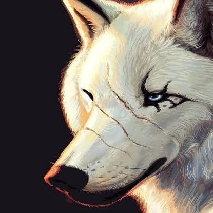 emir_pro47's profile picture. 