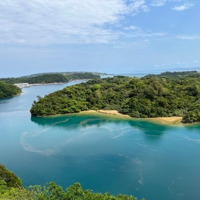 55555TTTTTttttt's profile picture. 勉強しろ