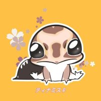 オビワン (@obiwanrep) 's Twitter Profile