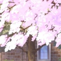 るんるん様 小さいサイズ]ホールガーメント(R)ドルマンスリーブニット(定番