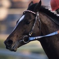 トウカイテイオー (@toukaiteio_30) 's Twitter Profile Photo