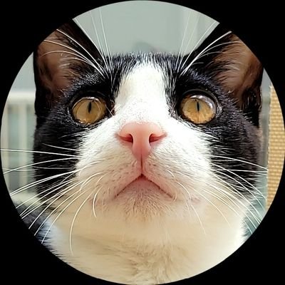 NorAI_090's profile picture. ㍉