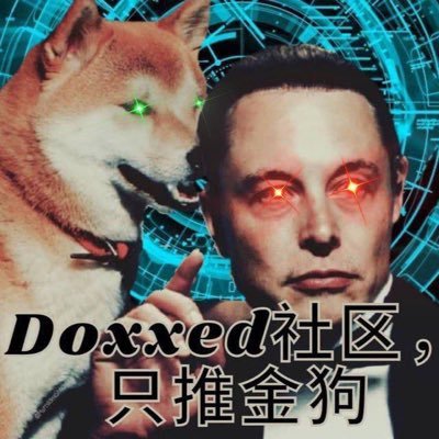 DoxxedCrypto Profile Picture