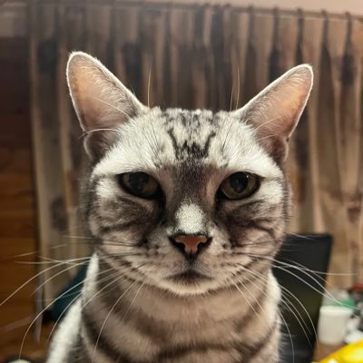 kameryubumbum's profile picture. 