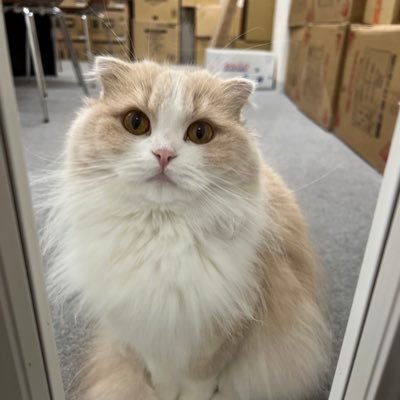 zwyttty0818's profile picture. 尻フェチ、好きな動画と画像をリツイートします。