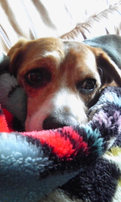 tOuChAn0513's profile picture. 