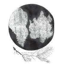 athwib's profile picture. ⚕️| medicine