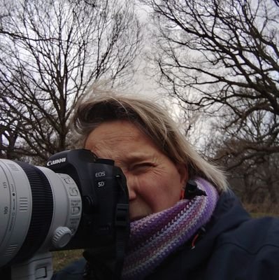 Documentary Filmmaker |
Teacher | Creative Practitioner