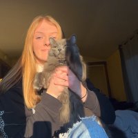 Liv (@livvvbh) 's Twitter Profile