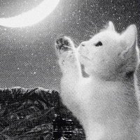 。 (@wyecyd3dzyttrsk) Twitter profile photo