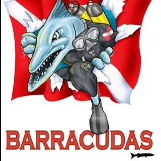 dfspb's profile picture. 