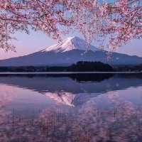 Max Kennedy (@maxkenn83764349) 's Twitter Profile