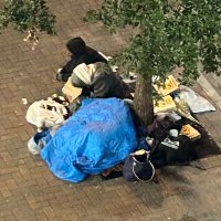 Uptown resident (@brendal1569) 's Twitter Profile Photo