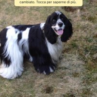 Alessandra sodaro (@albimat) 's Twitter Profile