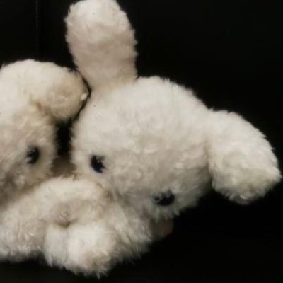 21 | nb | they/bun/he/it | boy adjacent | switch | tip me $jrmbnn | @freakiiyon's bunny | somno & petplay
