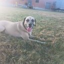 Michael Hurst - @hurst_mich83217 - Twitter