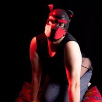 PupDeano (@pupdeano83) 's Twitter Profile