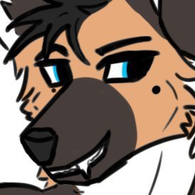 My name is Niko and I cause chaos | gshep |🏳️‍🌈|
noob artist | 🇵🇱 Polska gurom | Stuck in the 80s