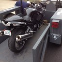 Dee - @DanaDaniels2 - Twitter