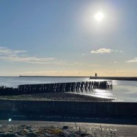 The Geordie Lass (@ageordielass) 's Twitter Profile Photo