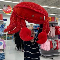 Sal is a proud step parent of a million children (@tumbledsalpriv) 's Twitter Profile