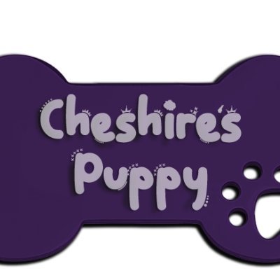 CheshsPuppy Profile Picture