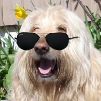 BigguyDev (@bigguycode) 's Twitter Profile