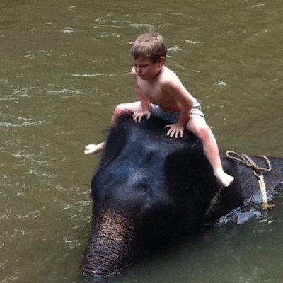 JackS16930's profile picture. HI! I am an undergraduate student in UCI's writing 60 class and I am researching animal rights.