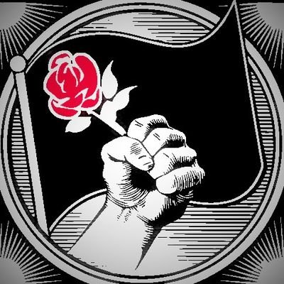 Leftwing Dissident 🌹🛠️ Profile