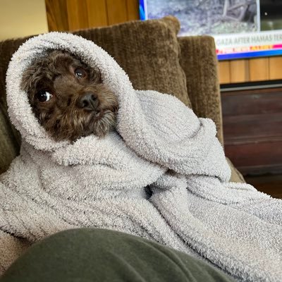 NMaher316's profile picture. 