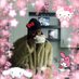 Bethel Windler (@windlerbet27078) Twitter profile photo Bethel Windler (@windlerbet27078) Twitter profile photo