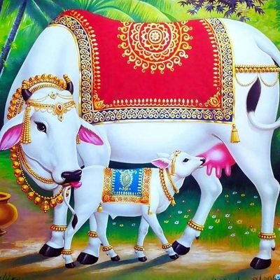 satya_thakur__'s profile picture. ⛳ जय क्षात्र धर्म ⛳
🌞 क्षत्रिय धर्म सर्वोपरि 🌞
⛳ क्षत्रिय केवल राजपूत ⛳
जय रक्त राजपूताना, जय माँ भवानी🙏
जय जय श्रीराम ❤️ 🙏 जय महाराणा प्रताप ❤️🙏