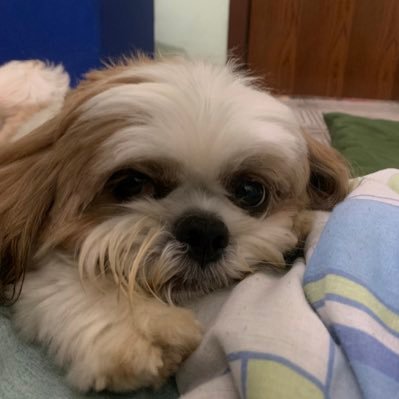 00MATHEUS's profile picture. +55 021 Insta: Siqueiera