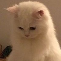 louise (@vantae_mono) 's Twitter Profile Photo louise (@vantae_mono) 's Twitter Profile Photo