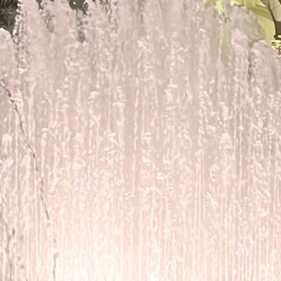 MohammedAlGali_'s profile picture. 