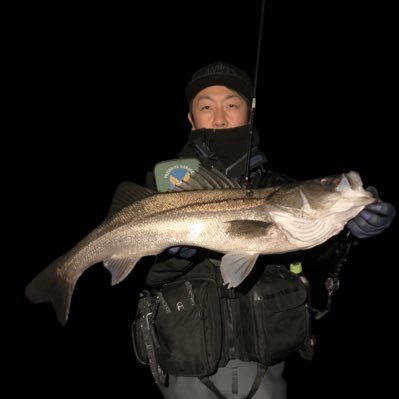 フォローいただき感謝申し上げます。 主に千葉県で釣りをしています! シーバス・チニングがメインで、最近エリアトラウトにどハマり中です。