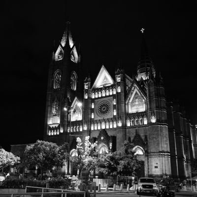 Primos_GDL's profile picture. 