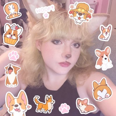 Tyler the corgiさんのプロフィール画像