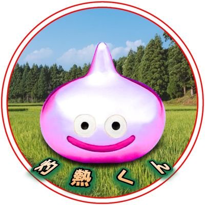 syakunetukun's profile picture. 畳2枚のスペースで家庭菜園を楽しんでおります。大阪で色々な野菜や果物にチャレンジしてます※2024/1/31までDQMSLのチーム灼熱島の運営をしてました