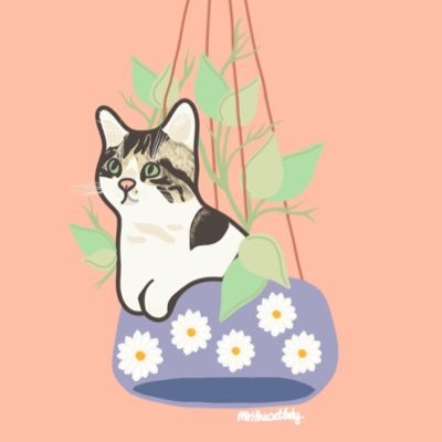 Hayley 🌷✨さんのプロフィール画像