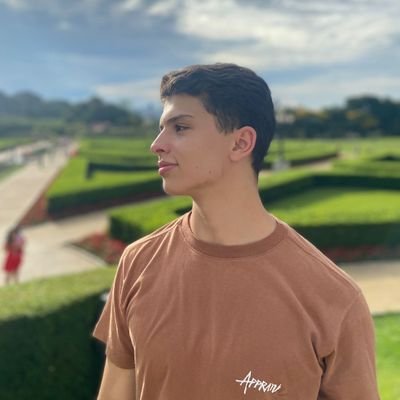 Influencer & streamer contatoheitorzin21@gmail.com