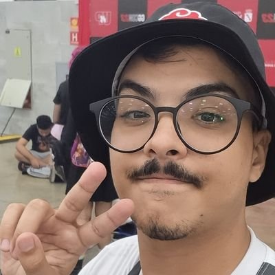 WebDev - Frontend Aspirant - Network Manager - Security Analyst - Twitch Affiliate Streamer