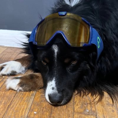 ParkerIRL_'s profile picture. Hello World! I’m Parker | #100Devs | #FitDevs 💪🏾| #BlackInTech |👾👨🏾‍💻 fullStack 🕸 & CyberSec| From the river to the sea 🇵🇸🙏🏾 | #freeCongo 🇨🇩