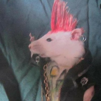 Official twitter page for RatPee Valorant. keep your piss warm and your hands warmer. Winners since 2003. #keeppissin #runratsrun #ratsratsrats