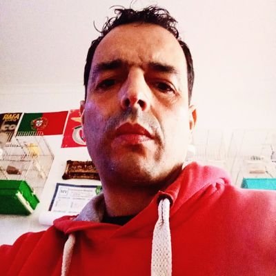 Joao61919 Profile Picture