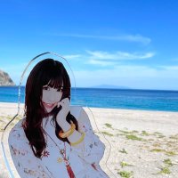 ぽむ(@p_omrice17) 's Twitter Profile Photo